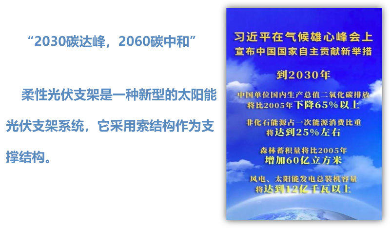 “2030碳达峰，2060碳中和”是习近平主席代表我国政府对国际社会做出的庄严承诺